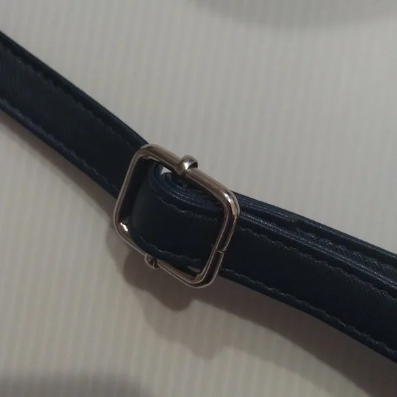 - -Dani Nicole in colab with Disney Cinderella crossbody bag adjustable strap - Picture 5 of 9